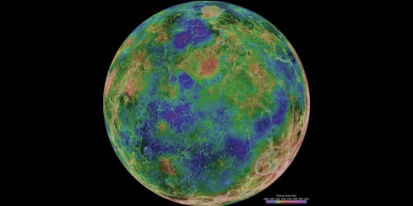 Venus Hemispheric View